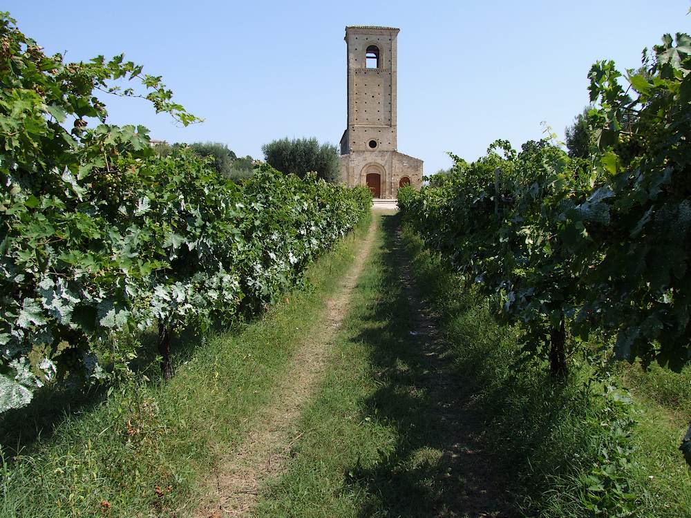 Chiesa di San Marco